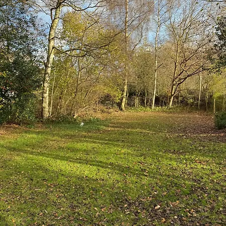 Summer House Near *